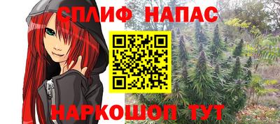 дурь Заводоуковск