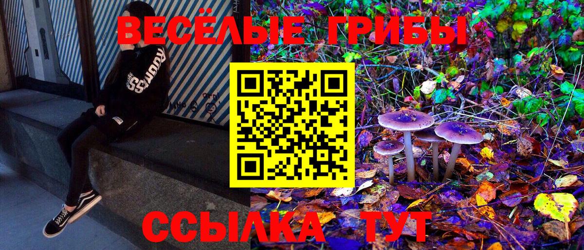 Галлюциногенные грибы Magic Shrooms Моршанск